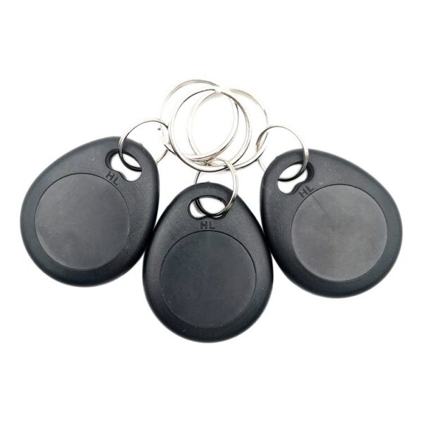125Khz T5577 Duplicable RFID Keytag